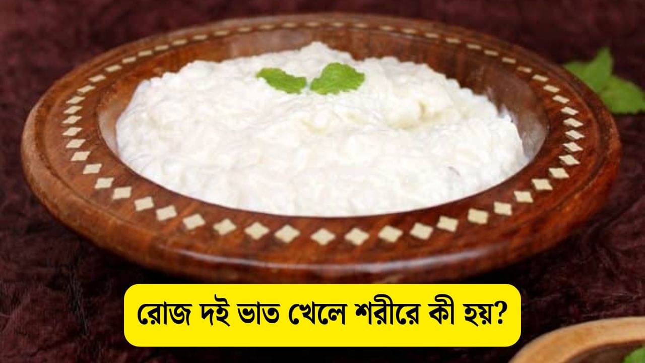 Curd Rice: টক দই দিয়ে রোজ ভাত খান? জানেন এমনটা শরীরের জন্য ভাল না খারাপ? 