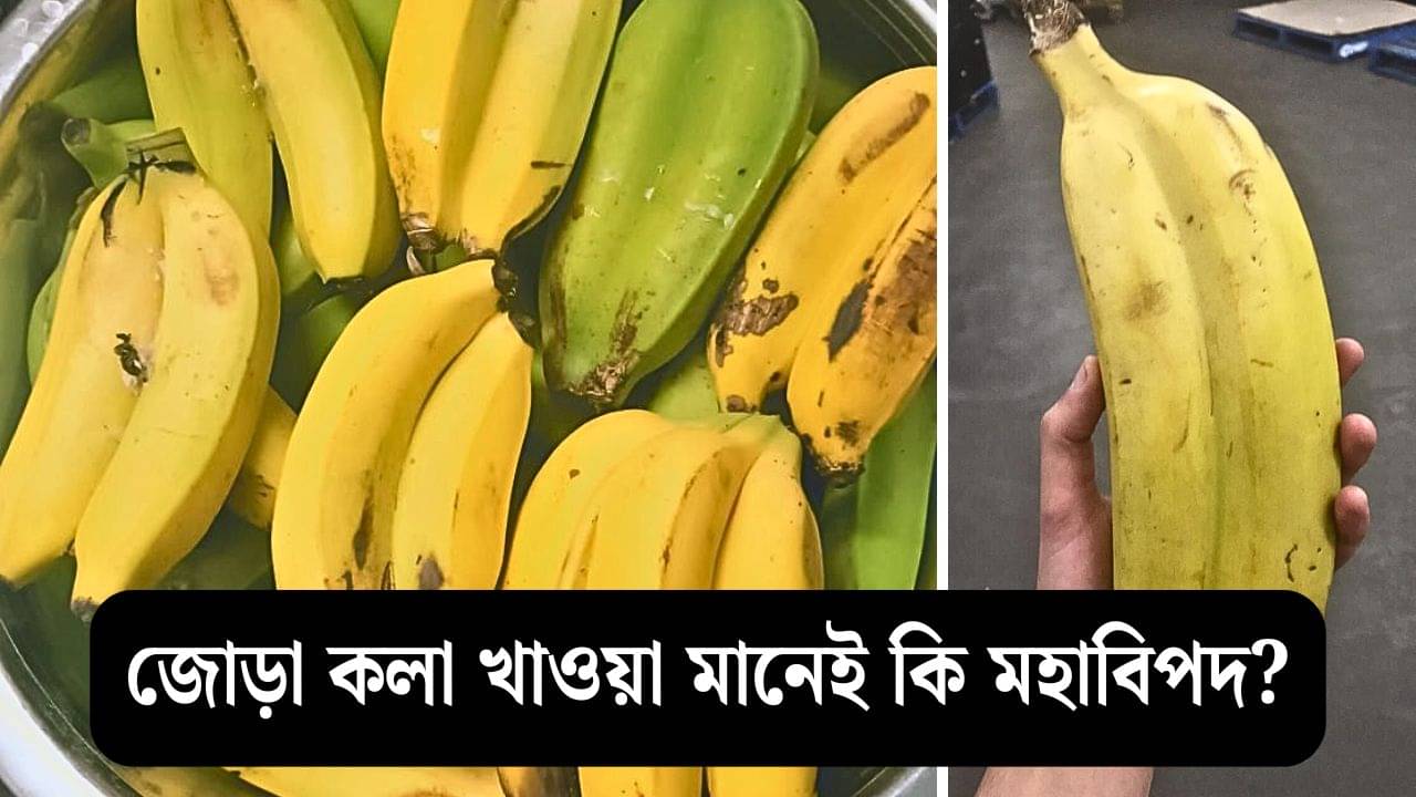 জোড়া কলা শুভ না অশুভ, এটি খেলে সত্যিই কি জীবনে মহাবিপদ ঘনিয়ে আসে?
