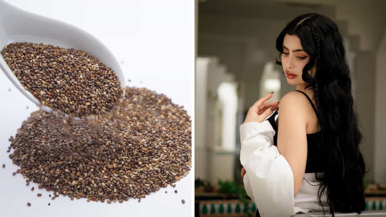 Chia Seeds: চুল পড়া আটকানো থেকে উজ্জ্বলতা ফেরানো... চিয়া সিডেই সব সমস্যার সমাধান Chia Seeds: চুল পড়া আটকানো থেকে উজ্জ্বলতা ফেরানো... চিয়া সিডেই সব সমস্যার সমাধান