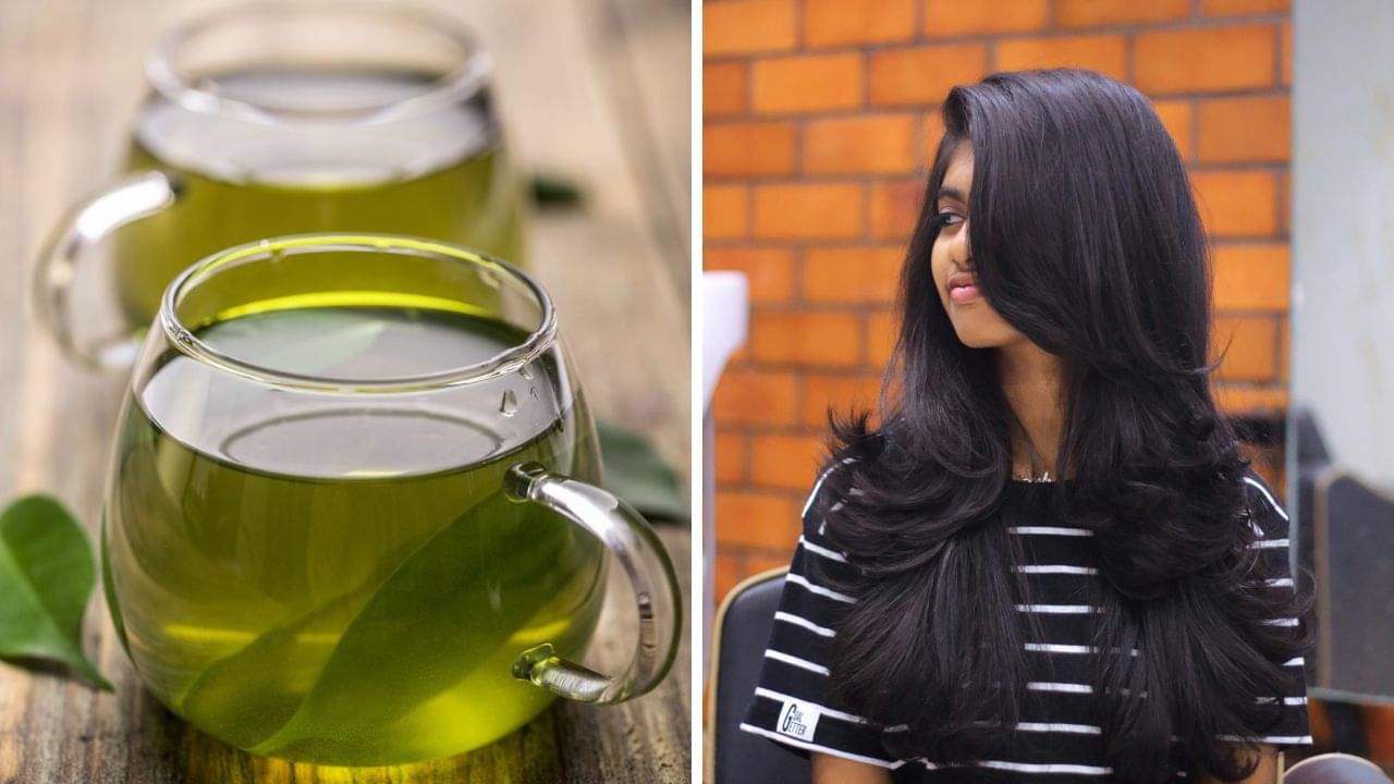 Green Tea for Hair: গ্রিন টি শুধু শরীরের যত্নেই নয়, চুলের হাজার সমস্যাতেও কাজ করে ম্যাজিকের মতো