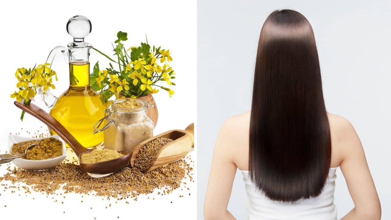 Mustard Oil: চিটচিটে ভাবের ভয়ে চুলে সর্ষের তেল লাগান না? উপকারিতা জানলে আজই মাখবেন