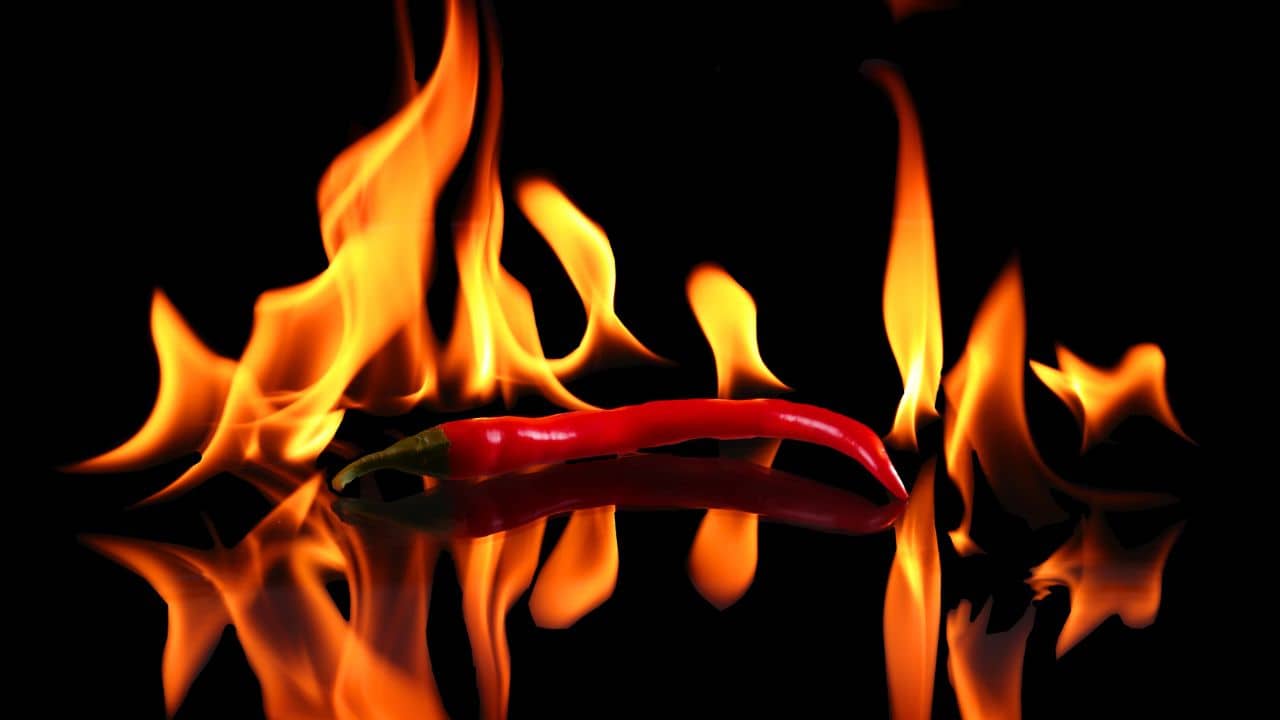 Chili Pepper: বীজ নয়, জানেন লঙ্কার আসল ঝাল আসে ঠিক কোন জায়গা থেকে?