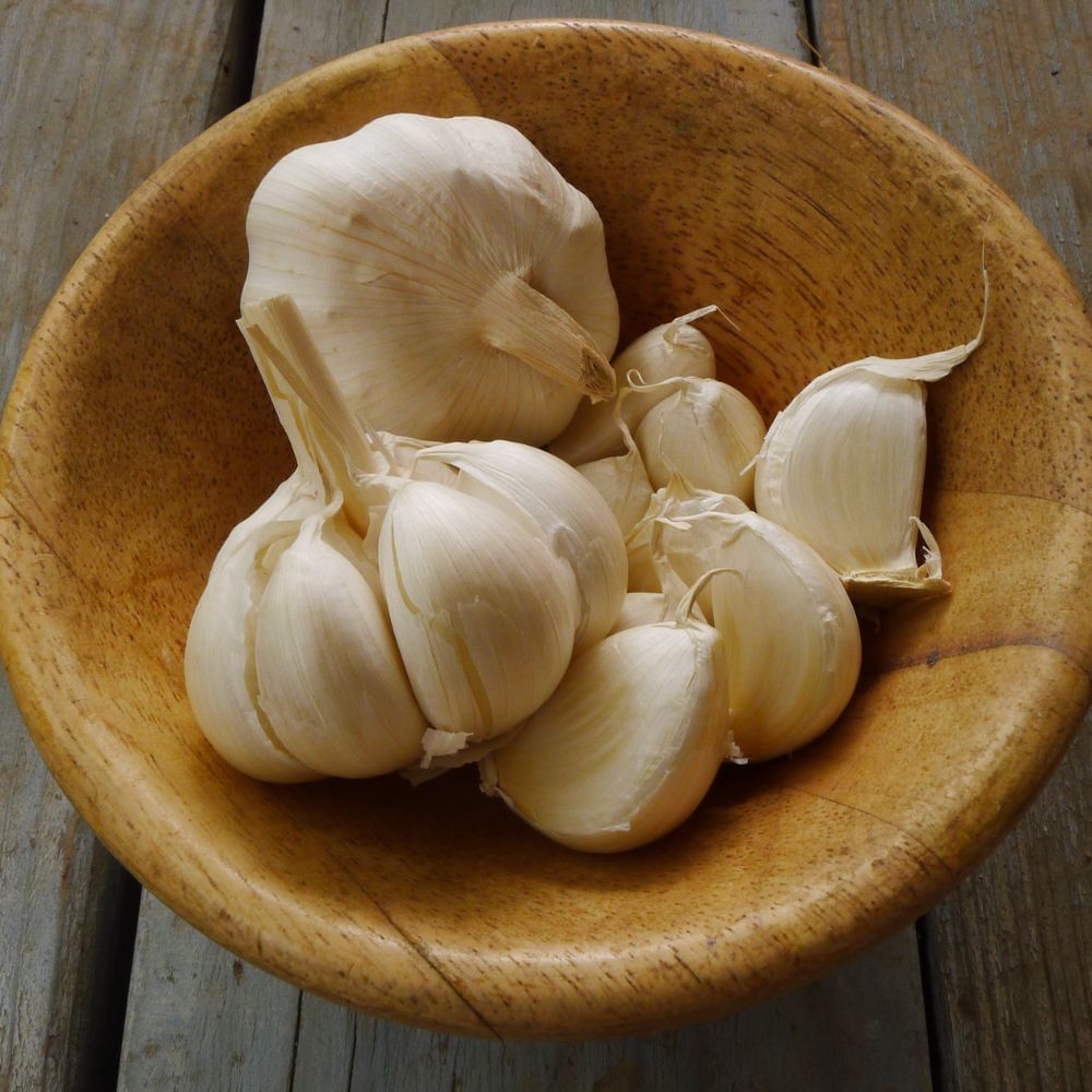 a bowl of garlic