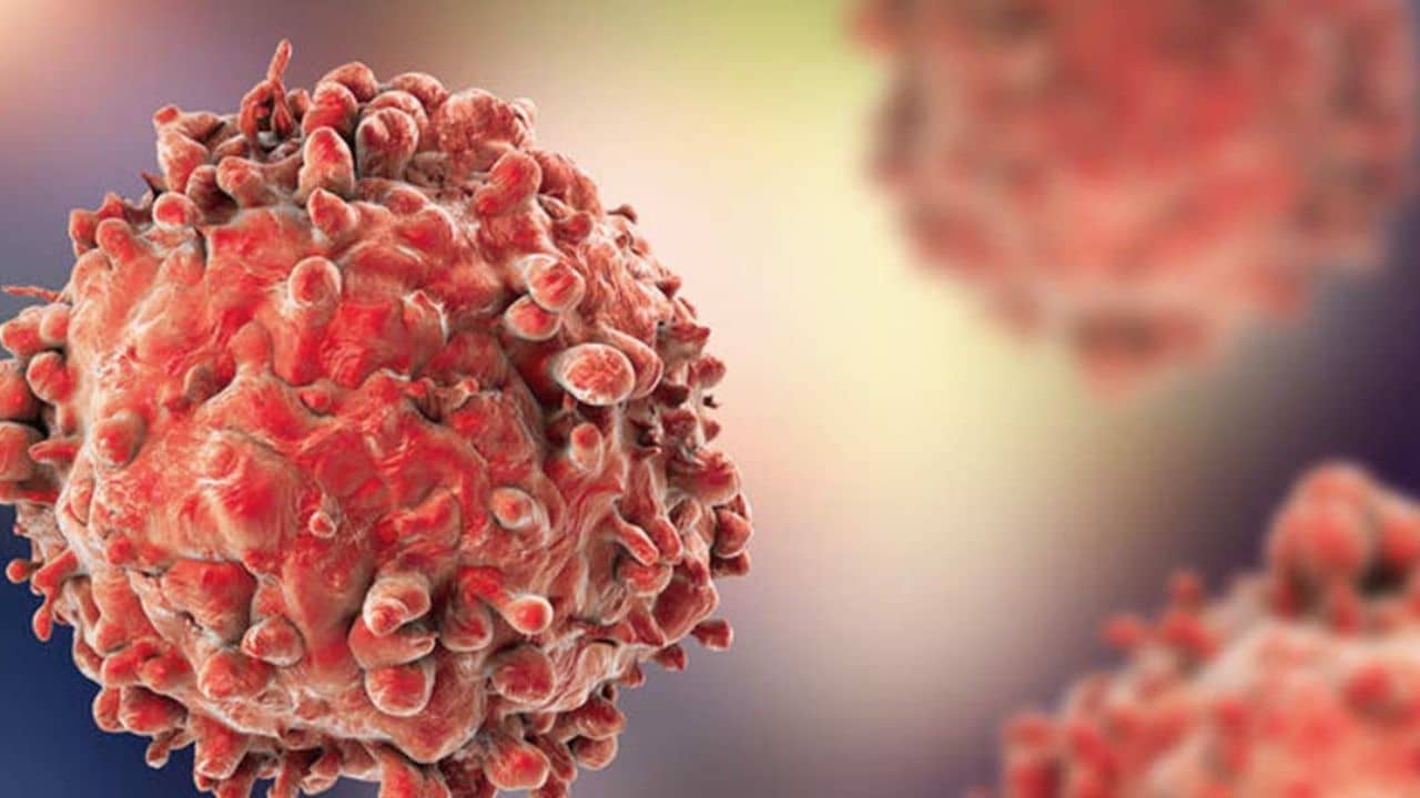 Gastric Cancer: ২০০৮-১৭ মধ্যে জন্ম নেওয়া ১ কোটি ৫০ লক্ষ মানুষের হতে পারে ক্যানসার! আপনিও কী সেই তালিকায়?