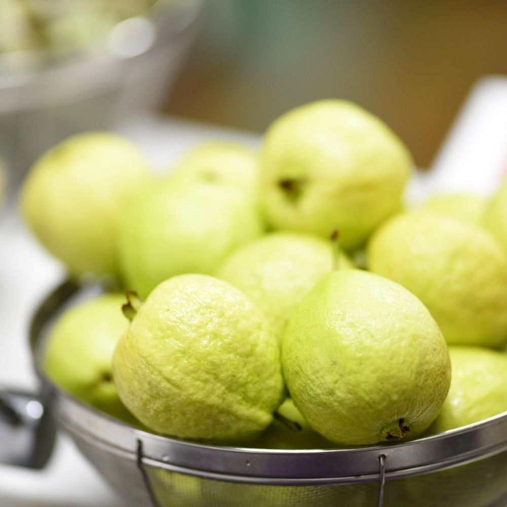 ওজন নিয়ন্ত্রণে রাখে – যারা ওজন কমাতে চান, তা হলে পেয়ারা খেতে পারেন। কারণ এই ফলে কম ক্যালোরি ও বেশি ফাইবার থাকায় অতিরিক্ত চর্বি জমতে দেয় না।
