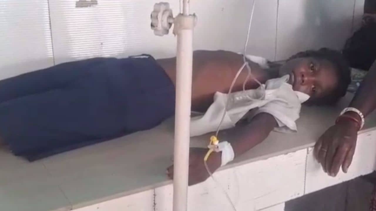 Hooghly: স্কুলের ভিতর যেতেই বিপত্তি, সাপে ছোবল মারল ছাত্রকে