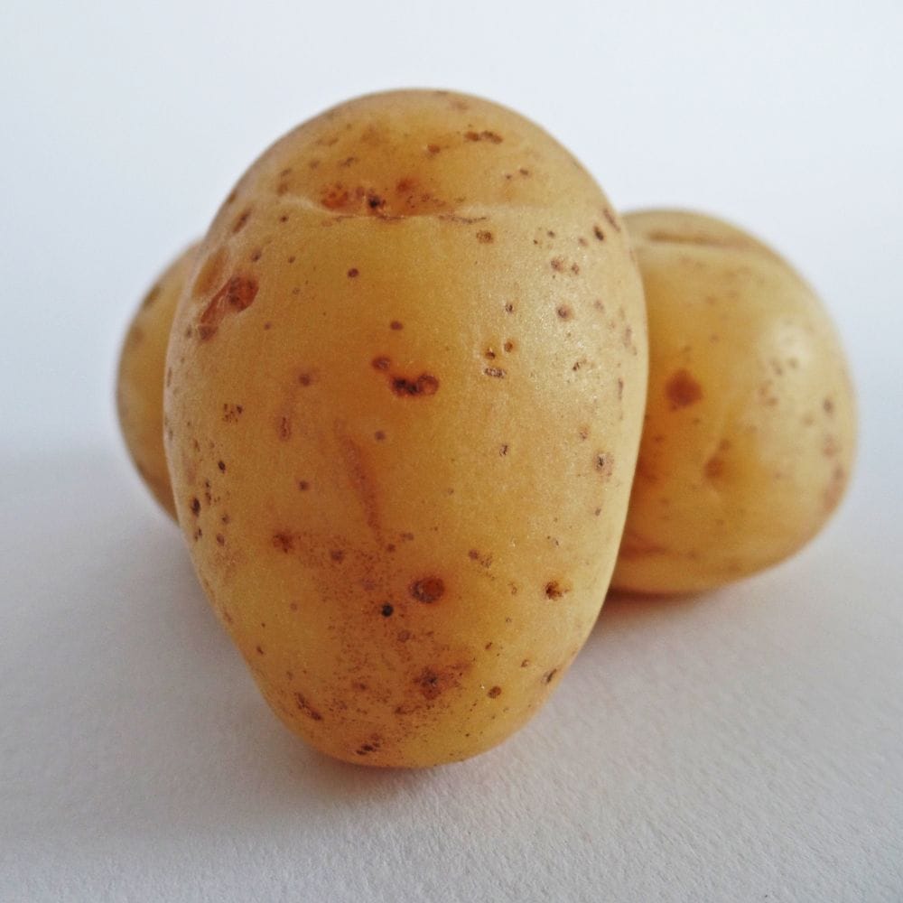 potato