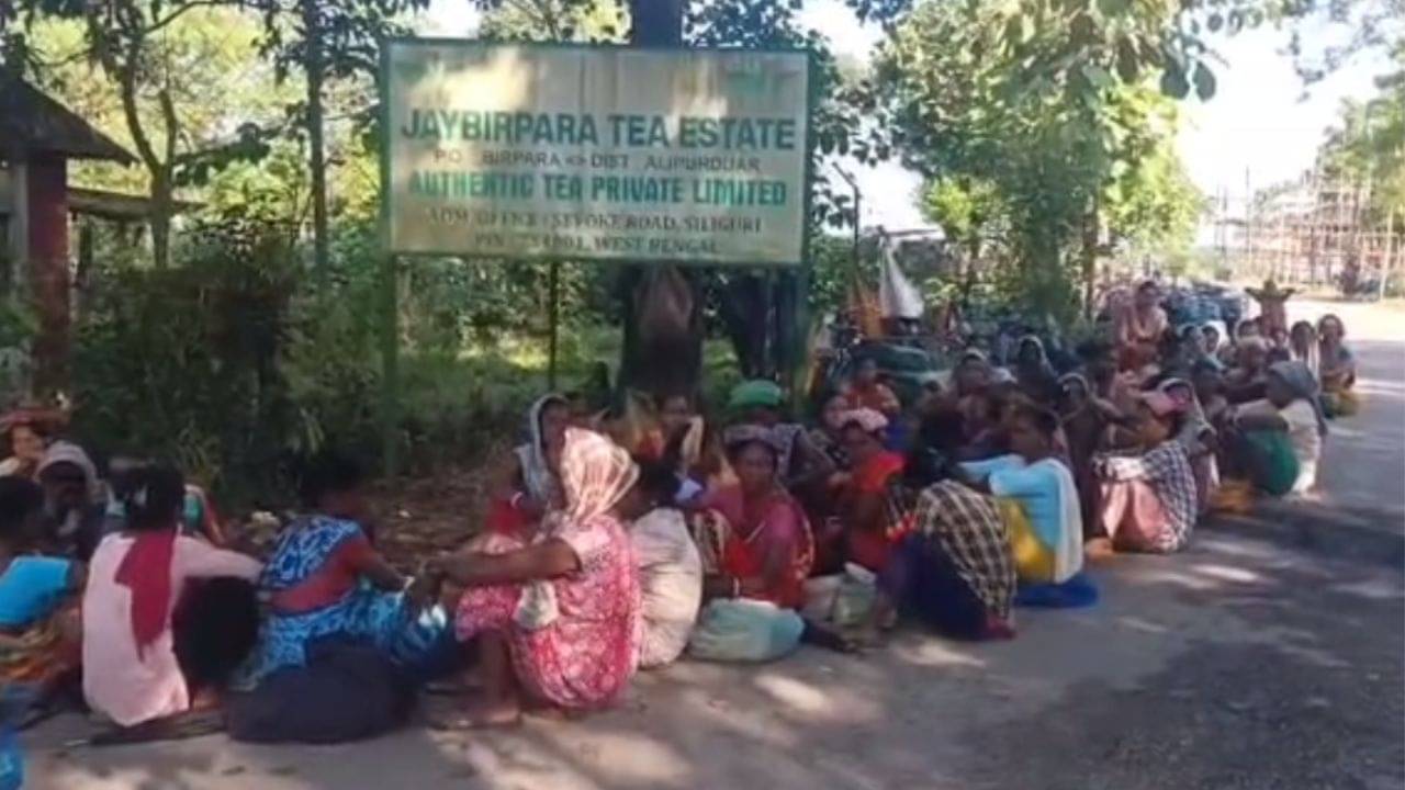 Alipurduar: এসে গেল পুজো, তার আগে বোনাস না পেয়ে বিক্ষোভ চা বাগানের কর্মচারিদের