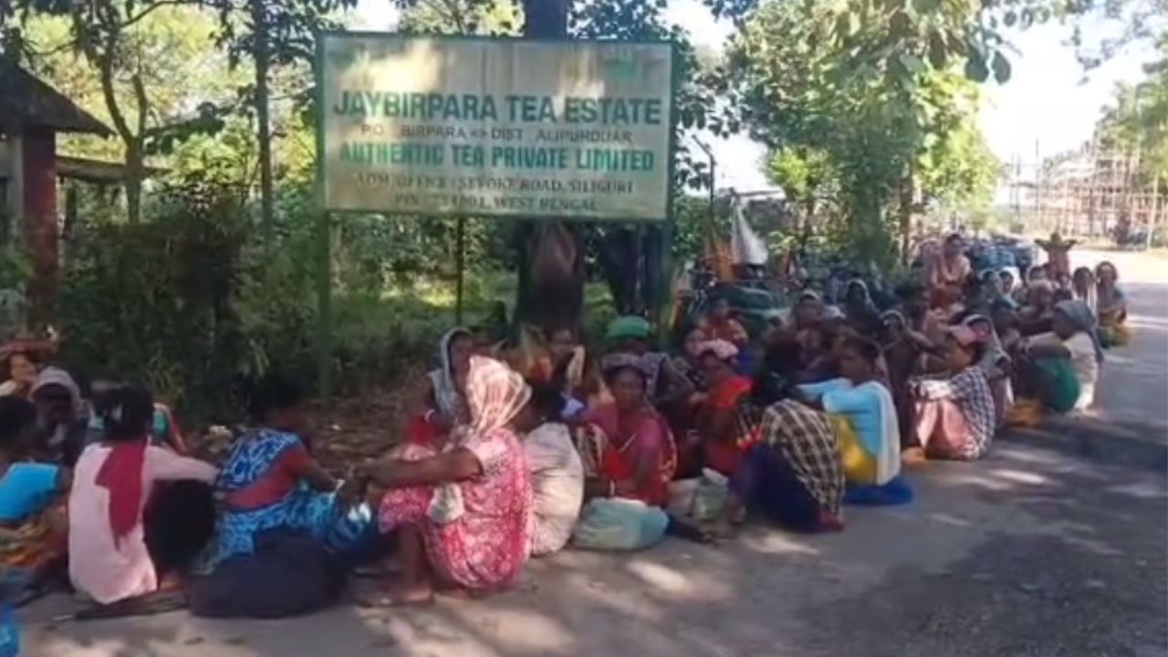 Alipurduar: এসে গেল পুজো, তার আগে বোনাস না পেয়ে বিক্ষোভ চা বাগানের কর্মচারিদের