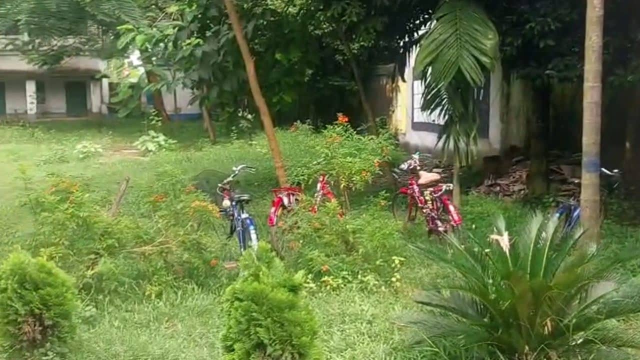 School in Balurghat: বন্ধ হয়ে যাচ্ছে সিসিটিভি! রাত হলেই স্কুলে ঢুকছে অচেনা যুবক-যুবতী, কী হচ্ছে বালুরঘাটে?