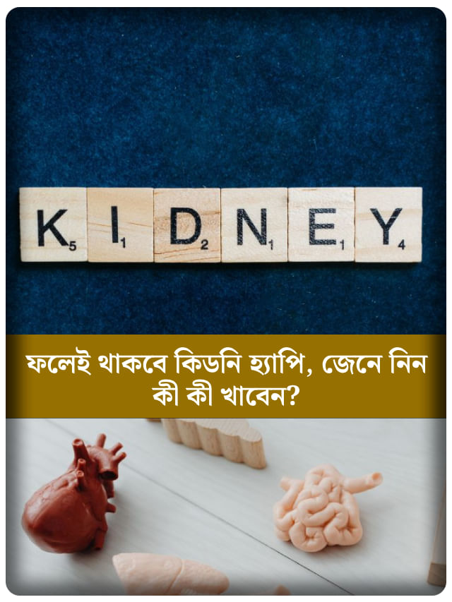 কিডনির স্বাস্থ্য ভাল রাখতে চান? রোজ এই ৯ ফল খান