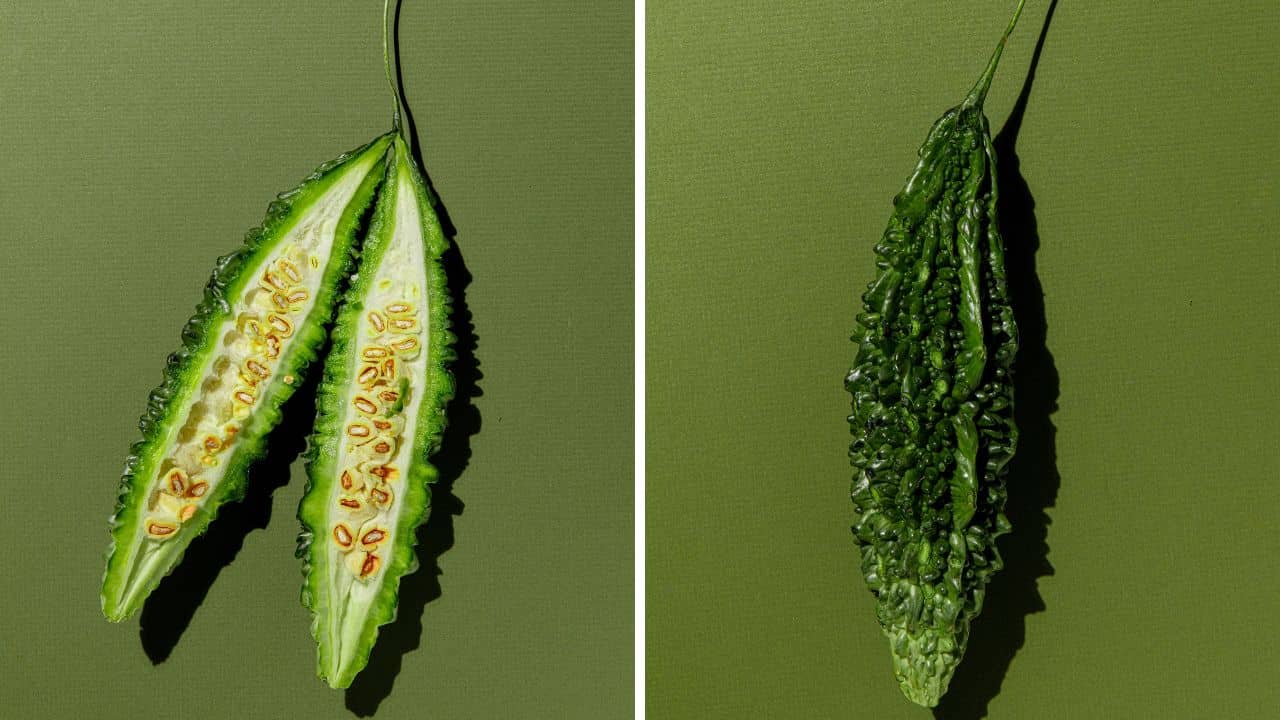 Bitter Gourd: করলা খেতে গিয়ে বীজ খেয়ে ফেলেছেন, জানেন শরীররের ভিতর কী ঘটবে?