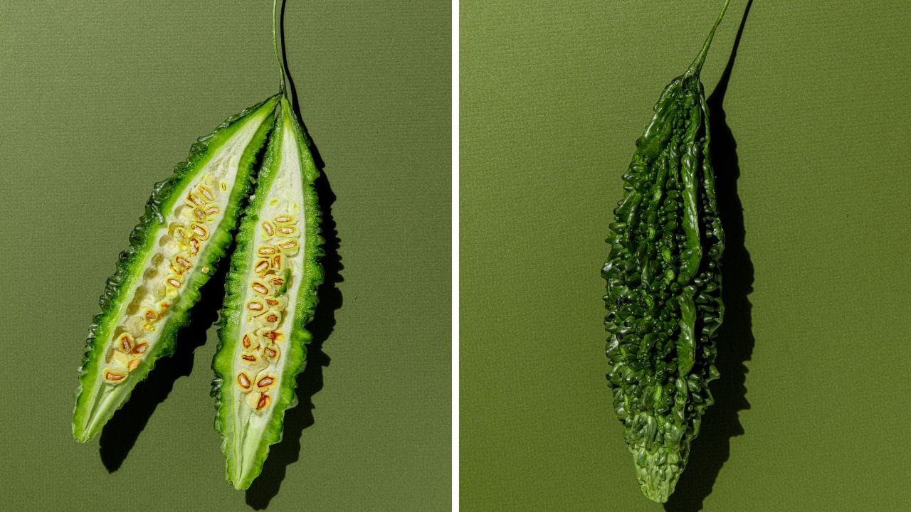 Bitter Gourd: করলা খেতে গিয়ে বীজ খেয়ে ফেলেছেন, জানেন শরীররের ভিতর কী ঘটবে? Bitter Gourd: করলা খেতে গিয়ে বীজ খেয়ে ফেলেছেন, জানেন শরীররের ভিতর কী ঘটবে?