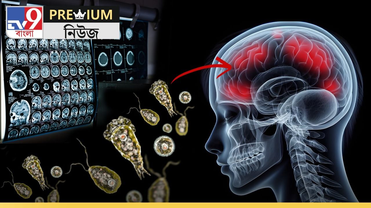 In Depth: আপনার বাড়ির জলে লুকিয়ে নেই তো মস্তিষ্ক-খেকো অ্যামিবা? In Depth: আপনার বাড়ির জলে লুকিয়ে নেই তো মস্তিষ্ক-খেকো অ্যামিবা?
