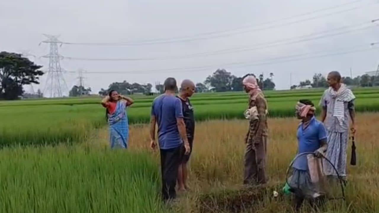 Paschim Medinipur: ৯০ শতক কৃষি জমি কার দখলে থাকবে, তা নিয়ে লড়াই, পোড়ান হল ধানের গাছ