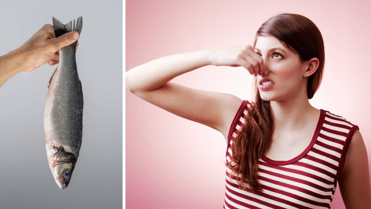 Fish Cooking Tips: মাছের আঁশটে গন্ধ ভ্যানিশ করতে চান? রইল হাফডজন টোটকা