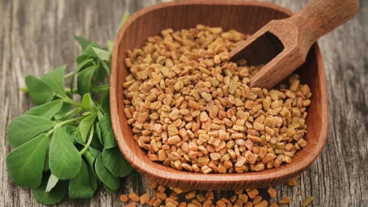 Fenugreek: খুশকি দূর থেকে চুলের বৃদ্ধি... মেথি একাই করবে সব কাজ, ব্যবহার করতে হবে এই উপায়ে