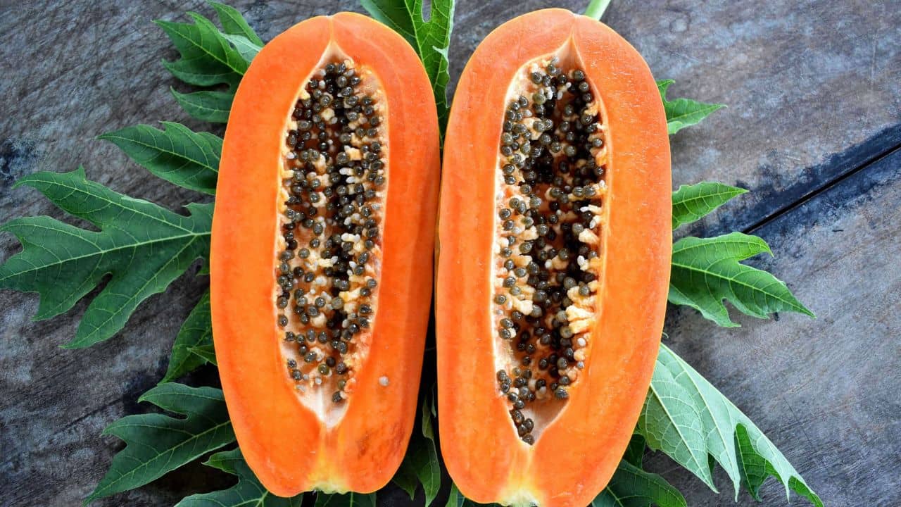 Papaya: যৌবন ধরে রাখতে চান? এভাবে পাকা পেঁপে মুখে লাগালেই মিলবে সমাধান
