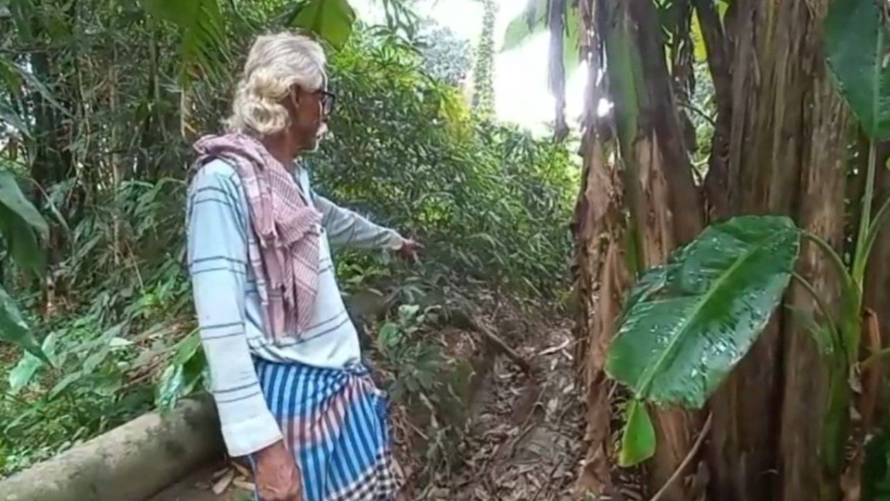 Kalna Skeleton: ছড়িয়ে ছিটিয়ে পড়া মাথার খুলি, পাজর, পাশেই পড়ে সাইকেল! নরকঙ্কাল উদ্ধার ঘিরে চাঞ্চল্য