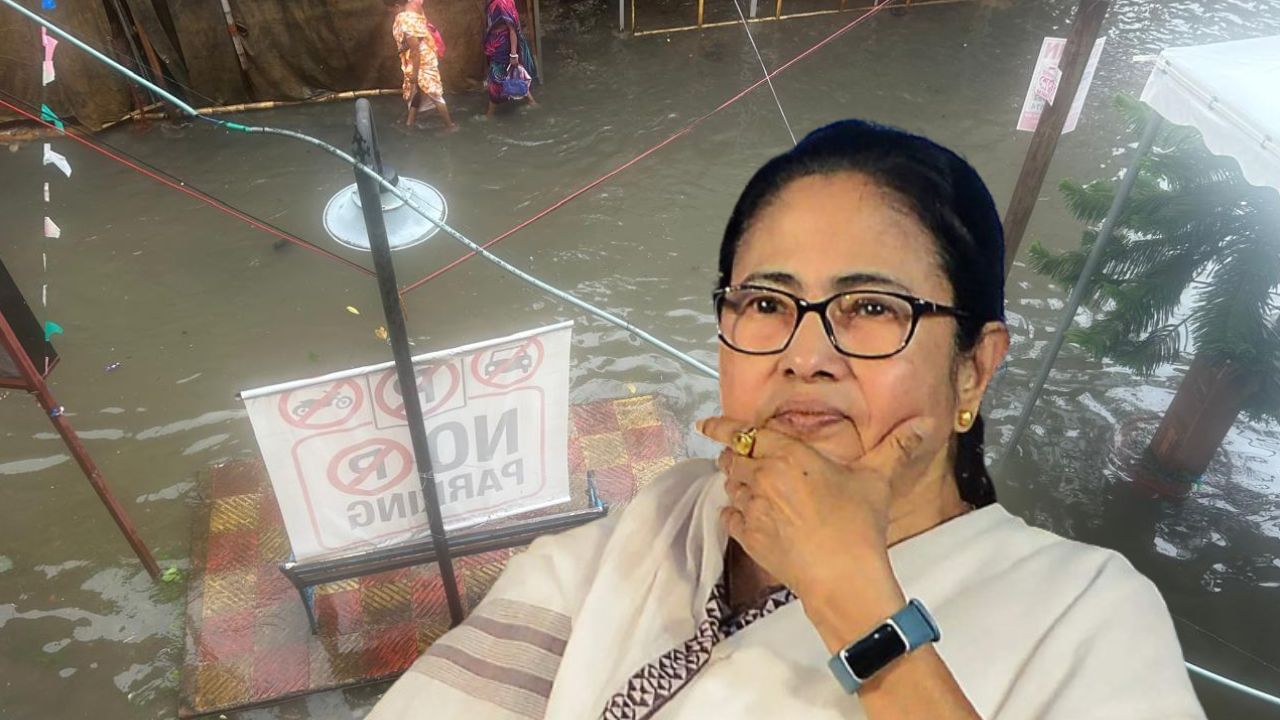 Mamata on CESC: 'অনেকবার বলেছি, কলকাতায় ওয়্য়ারগুলো ঠিক করতে...', ৮ মৃত্যুর জন্য CESC-কেই দায়ী করলেন মমতা Mamata on CESC: 'অনেকবার বলেছি, কলকাতায় ওয়্য়ারগুলো ঠিক করতে...', ৮ মৃত্যুর জন্য CESC-কেই দায়ী করলেন মমতা