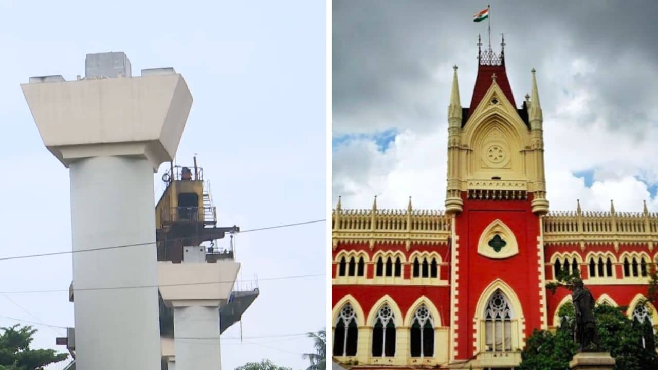 High Court on Metro: ৩৬৬ মিটারের জন্য আটকে মেট্রো-রুট, চিংড়িহাটার জট কাটাতে এবার রাজ্যকে কড়া নির্দেশ হাইকোর্টের