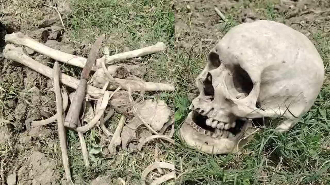 Skeleton Recovered: জমির মধ্যে এটা কী! চাষ করতে করতেই আস্ত নরকঙ্কাল দেখে মাথায় হাত কৃষকের Skeleton Recovered: জমির মধ্যে এটা কী! চাষ করতে করতেই আস্ত নরকঙ্কাল দেখে মাথায় হাত কৃষকের