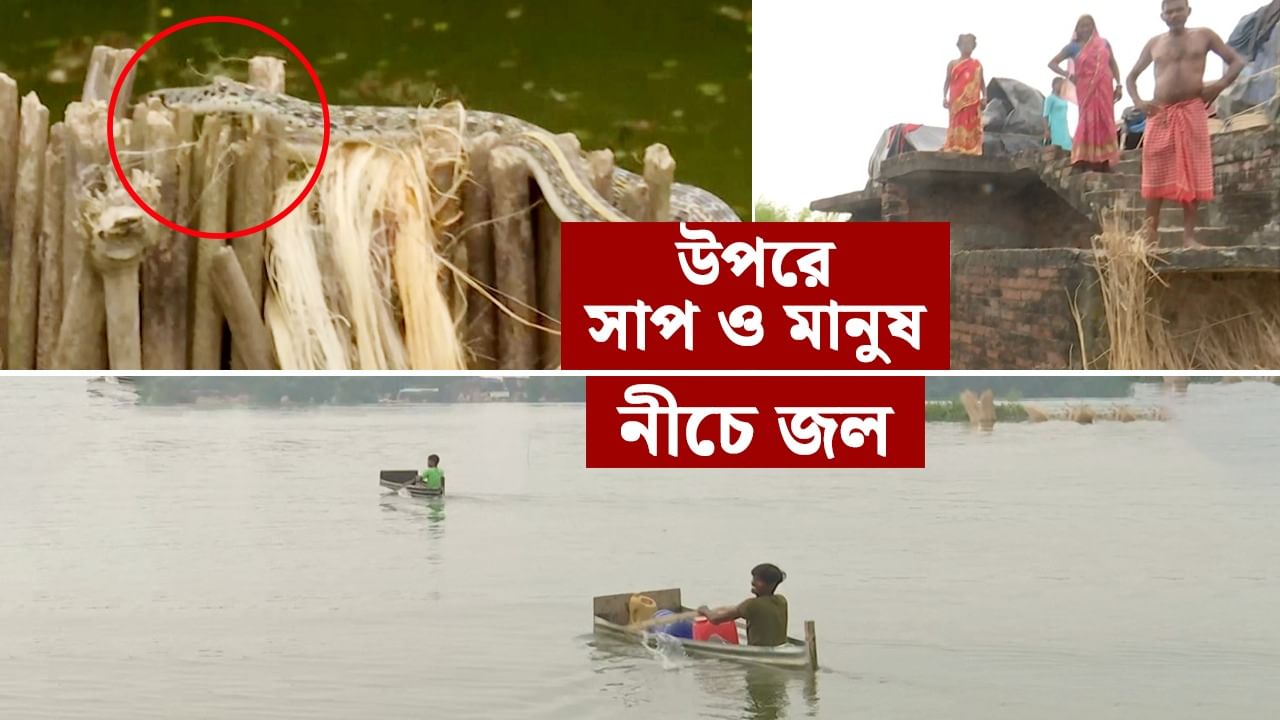 Malda Flood Situation