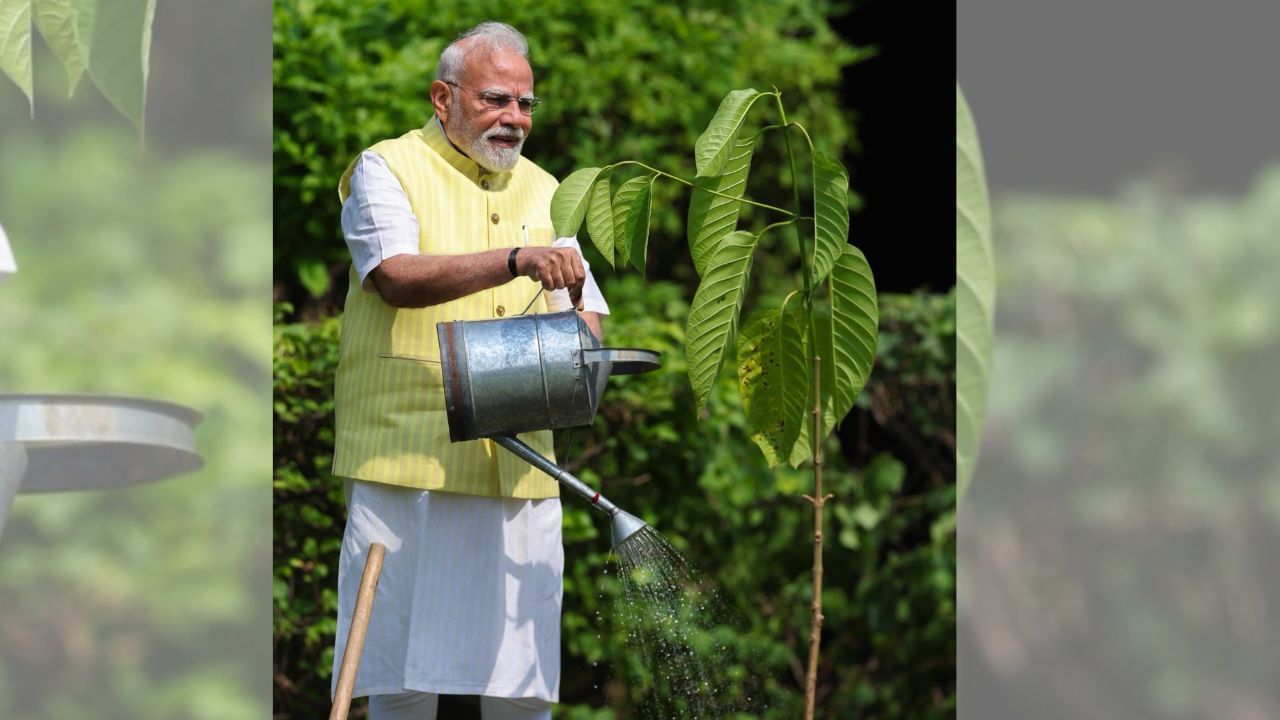 PM Narendra Modi: ব্রিটেনের রাজার পাঠানো কদম গাছের চারা বাসভবনে রোপণ করলেন মোদী PM Narendra Modi: ব্রিটেনের রাজার পাঠানো কদম গাছের চারা বাসভবনে রোপণ করলেন মোদী