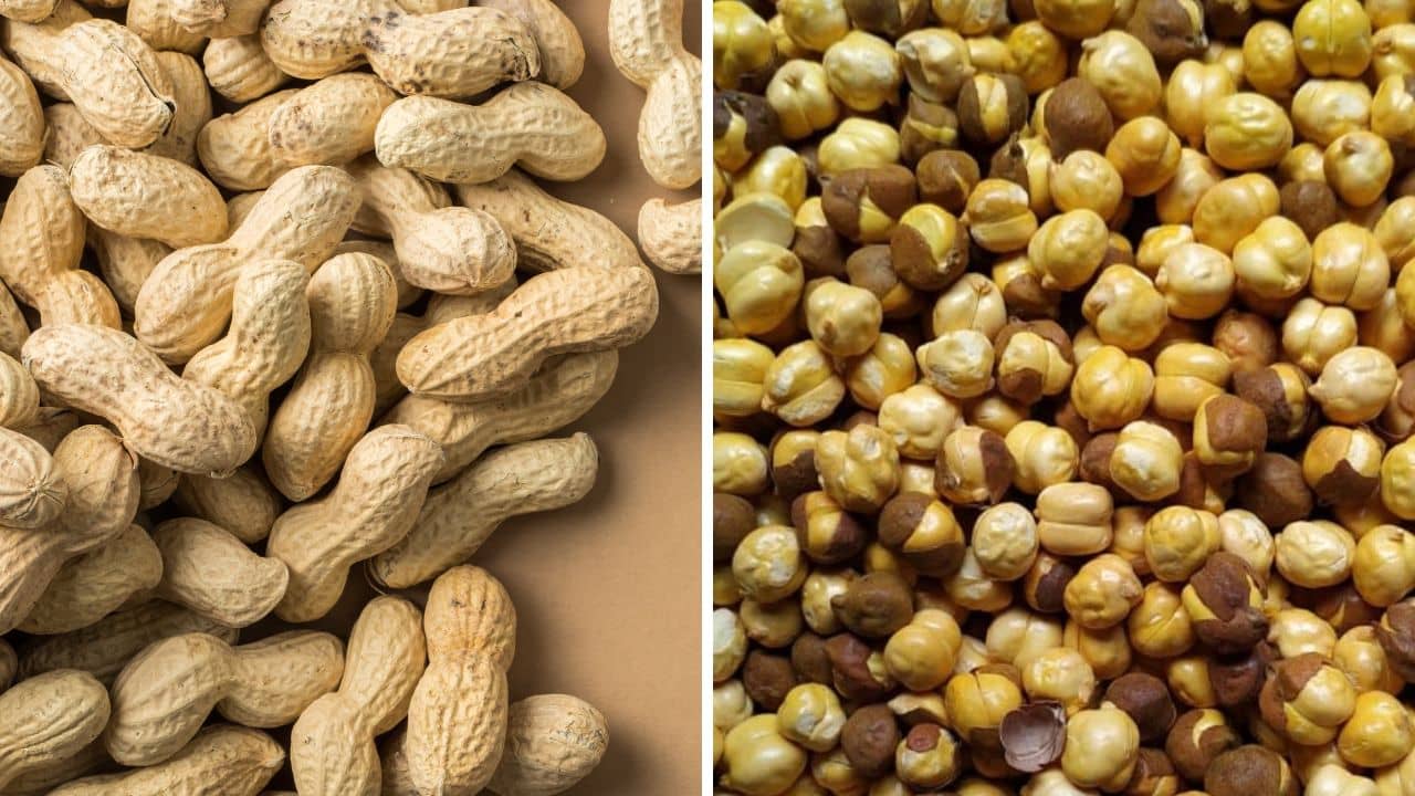 Peanuts vs Roasted Chana: ডায়েট ফ্রেন্ডলি স্ন্যাকসের লড়াই! চিনাবাদাম নাকি ভাজা ছোলা শরীরের জন্য কোনটা ভাল?