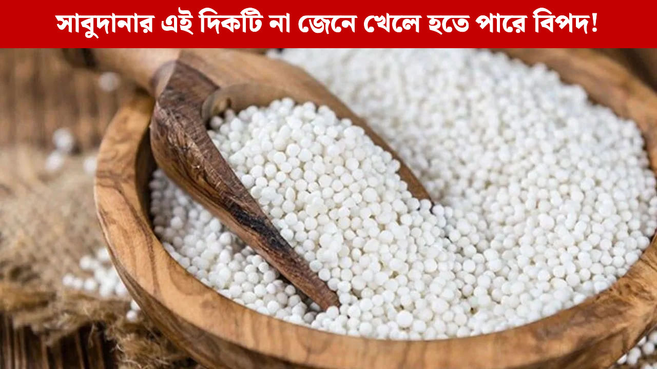 Sago or Sabudana: ব্রতর দিনে সাবুদানা খান? এটি উপোস ভাঙার শক্তি, নাকি শুধুই কার্বোহাইড্রেট? Sago or Sabudana: ব্রতর দিনে সাবুদানা খান? এটি উপোস ভাঙার শক্তি, নাকি শুধুই কার্বোহাইড্রেট?