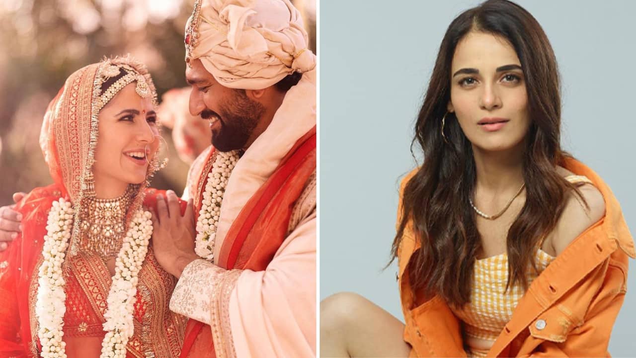 রাধিকার বাড়িতে ভিকির জিনিস! ক্যাটরিনার জীবনে সতীন এল?