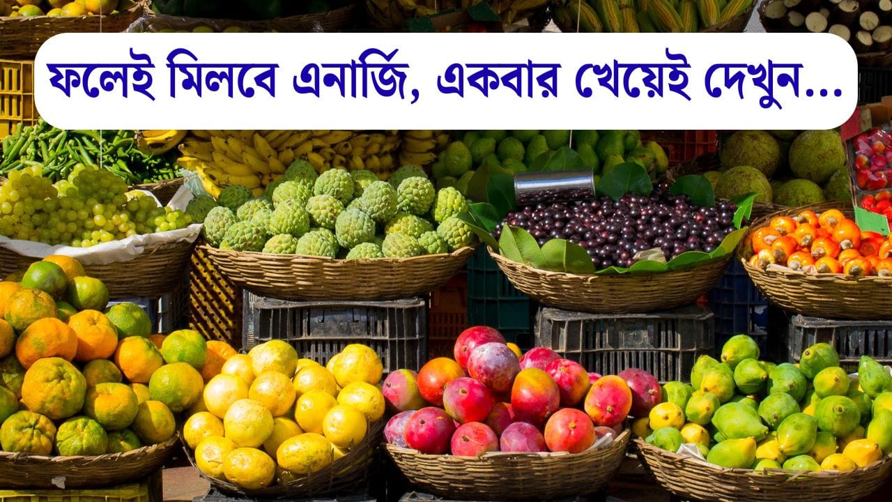 Fruits Benefits: এই ৫ ফলে কামড় দিলে কাটবে ক্লান্তি, ফিরে পাবেন চটজলদি এনার্জি Fruits Benefits: এই ৫ ফলে কামড় দিলে কাটবে ক্লান্তি, ফিরে পাবেন চটজলদি এনার্জি