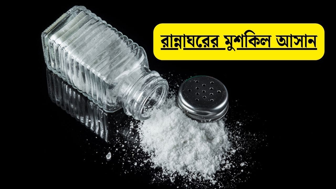 Cooking Tips: রান্না করতে গিয়ে বেশি নুন পড়েছে? খাবার নষ্ট না করে এই কায়দায় সামলে নিন Cooking Tips: রান্না করতে গিয়ে বেশি নুন পড়েছে? খাবার নষ্ট না করে এই কায়দায় সামলে নিন