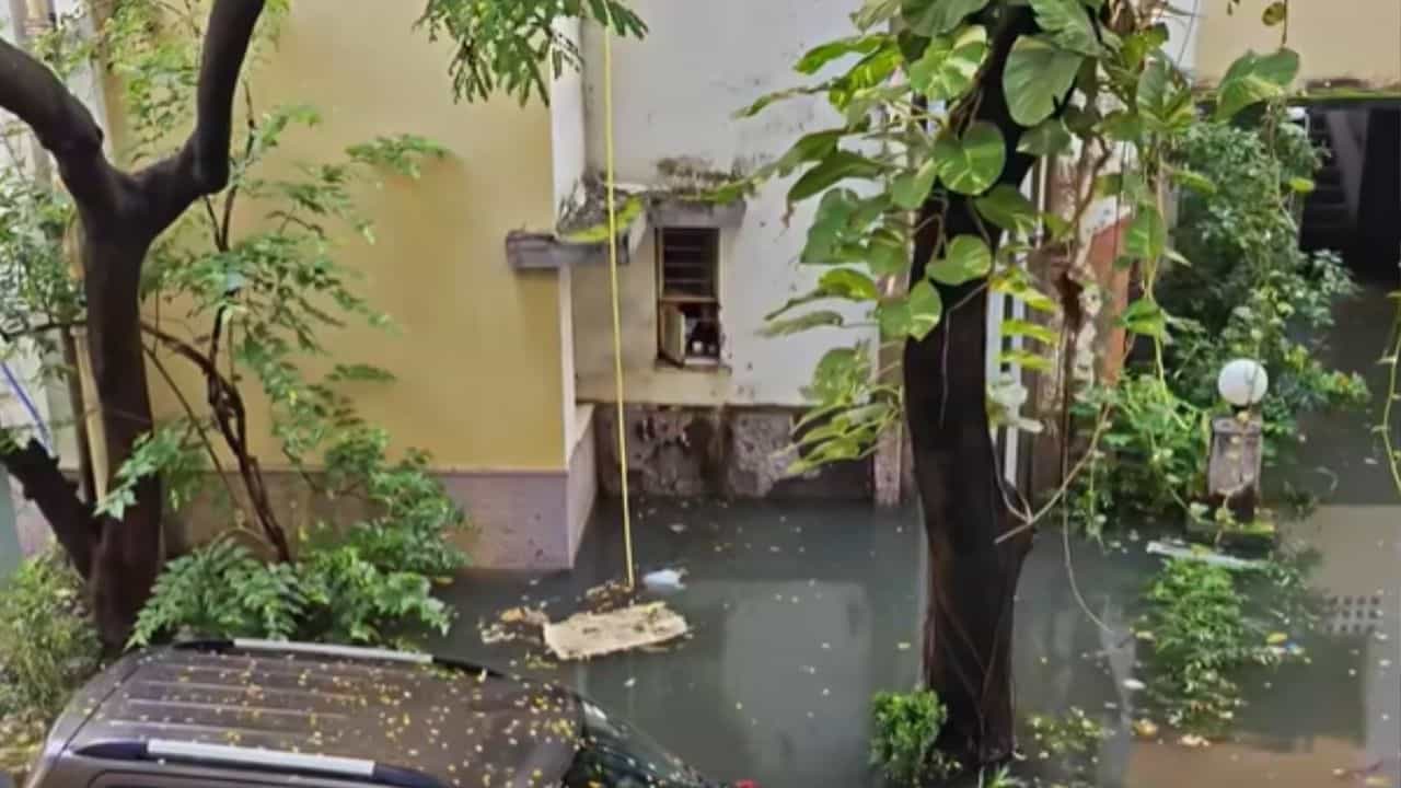Rain Forecast: আজও জমেছে মেঘপুঞ্জ, জারি সতর্কতা, আগামী ২-৩ ঘণ্টার ভেসে যাবে এই এলাকাগুলো Rain Forecast: আজও জমেছে মেঘপুঞ্জ, জারি সতর্কতা, আগামী ২-৩ ঘণ্টার ভেসে যাবে এই এলাকাগুলো