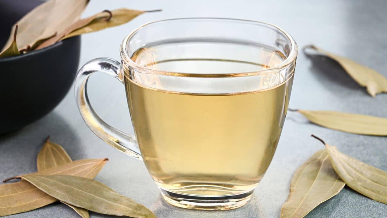 Bay Leaf Water: ডিটক্স থেকে ডায়াবেটিস কন্ট্রোল, এক কাপ তেজপাতার জলে নানা সমস্যার সমাধান