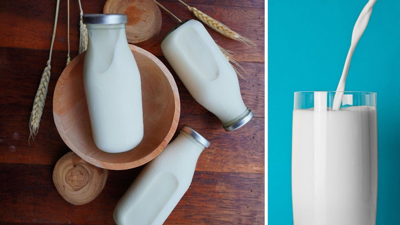 Milk Drinking: রাতে ঘুমনোর আগে এক গ্লাস দুধ খান, জানেন শরীরে আসলে কী ঘটে? Milk Drinking: রাতে ঘুমনোর আগে এক গ্লাস দুধ খান, জানেন শরীরে আসলে কী ঘটে?