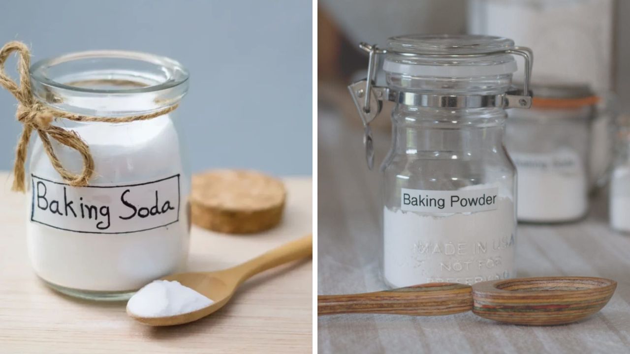 Baking Soda vs Baking Powder: বেকিং সোডা ও বেকিং পাউডারের মধ্যে পার্থক্য কী? এগুলো ব্যবহারের সঠিক উপায় জানেন? Baking Soda vs Baking Powder: বেকিং সোডা ও বেকিং পাউডারের মধ্যে পার্থক্য কী? এগুলো ব্যবহারের সঠিক উপায় জানেন?