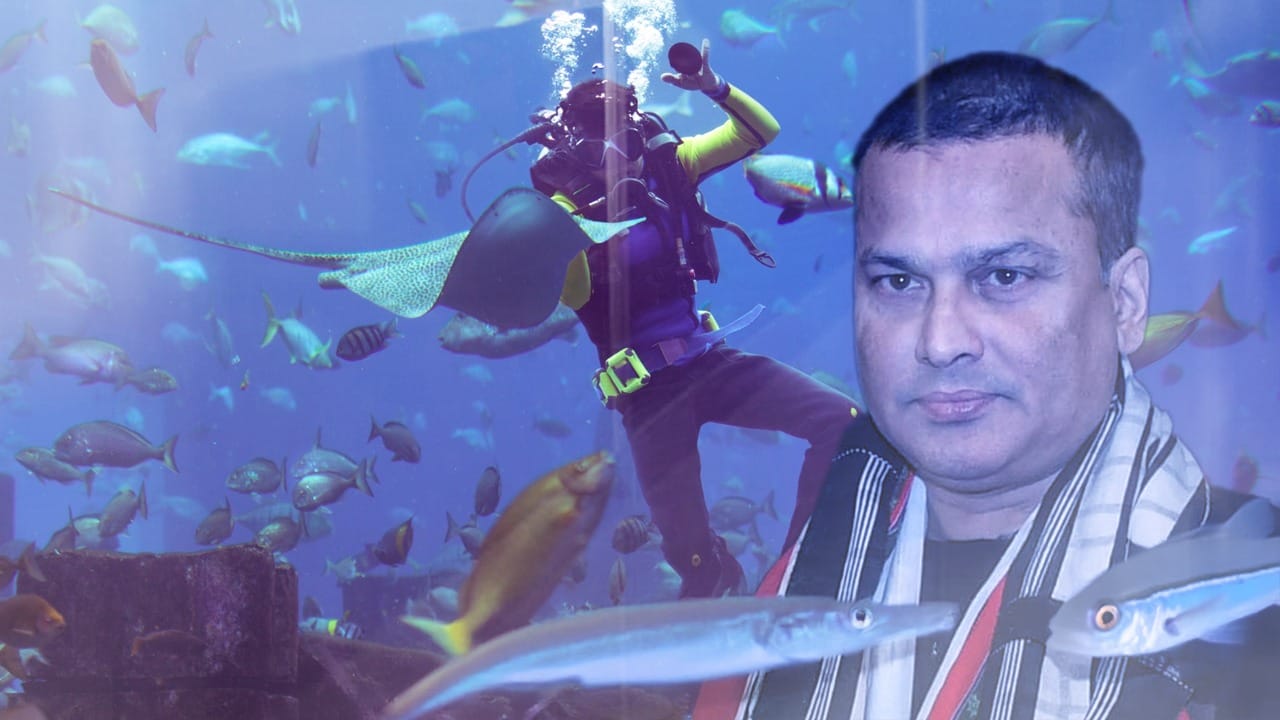 Scuba Diving: স্কুবা করতে গিয়ে প্রয়াত জুবিন গর্গ, সমুদ্রে বেড়াতে গিয়ে স্কুবা ডাইভিংয়ের আগে কী জানতেই হবে Scuba Diving: স্কুবা করতে গিয়ে প্রয়াত জুবিন গর্গ, সমুদ্রে বেড়াতে গিয়ে স্কুবা ডাইভিংয়ের আগে কী জানতেই হবে