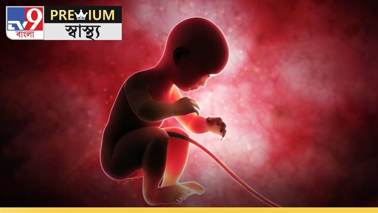 Pregnancy Unknown Facts: গর্ভাবস্থায় মায়ের শরীরের জীবাণু শিশুকে প্রভাবিত করে!