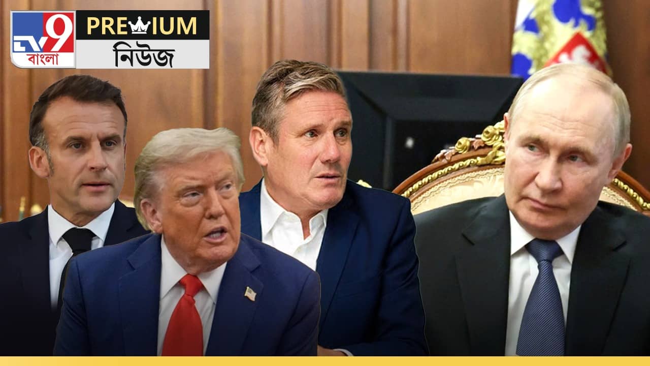 Explained: পুতিনকে সামলাতে কতটা ঘর গোছাল ইউরোপ?