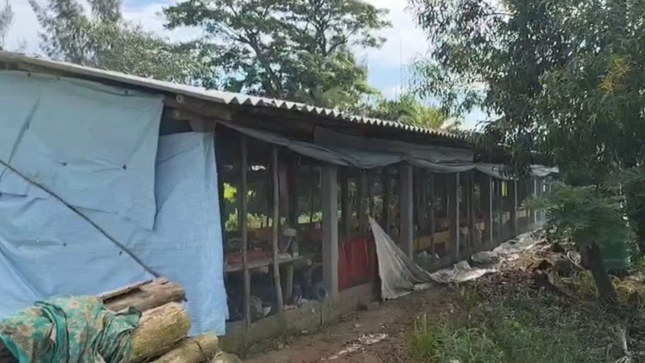 Two Died In Diamond Harbour (1)