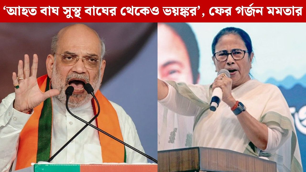 CM Mamata on SIR: ‘সামনে এসআইআর আর পিছনে মিরজাফর স্যর?’ অমিত শাহকে ‘রিঅ্যাকশনের’ কথা মনে করালেন মমতা CM Mamata on SIR: ‘সামনে এসআইআর আর পিছনে মিরজাফর স্যর?’ অমিত শাহকে ‘রিঅ্যাকশনের’ কথা মনে করালেন মমতা