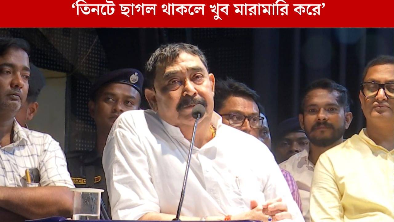 Anubrata Mondal: তৃণমূলের শত্রু তৃণমূল, কেষ্ট দিলেন ছাগলের ৩ নম্বর বাচ্চার উদাহরণও