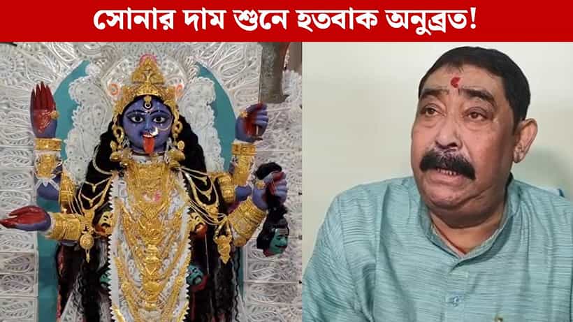 Anubrata Mondal: ‘কী বলছ! ১ লাখ ৩০ হাজারে এক ভরি সোনা!’ চোখ কপালে উঠল অনুব্রতর