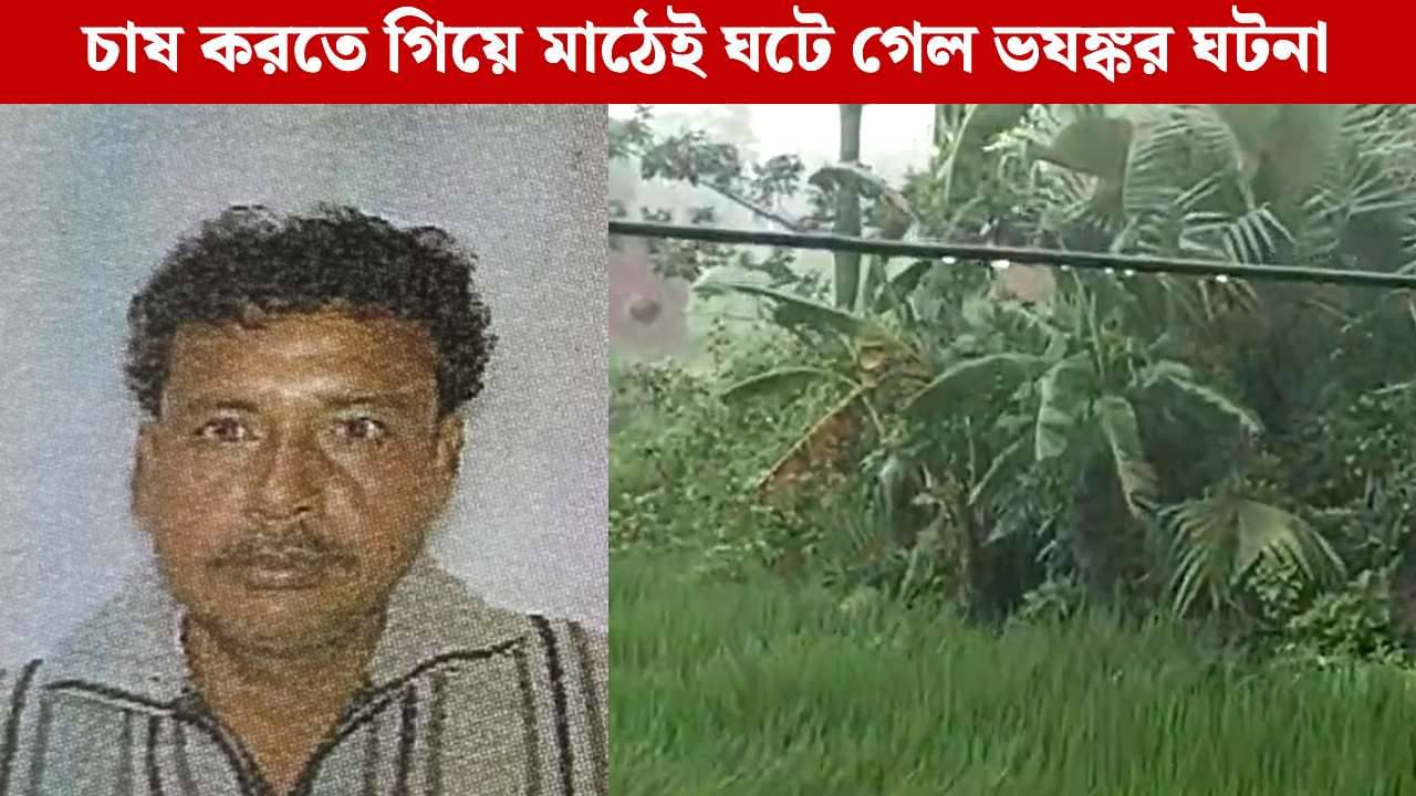 Arambagh: মাঠে কীটনাশক স্প্রে করতে গিয়ে ভয়ঙ্কর কাণ্ড! আর ঘরে ফেরা হল না কৃষকের