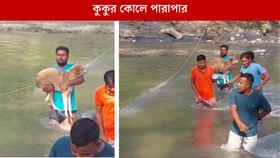 পেরোতে পারছিল না খরস্রোতা নদী, সারমেয়কে কোলে তুলে পার করালেন যুবক