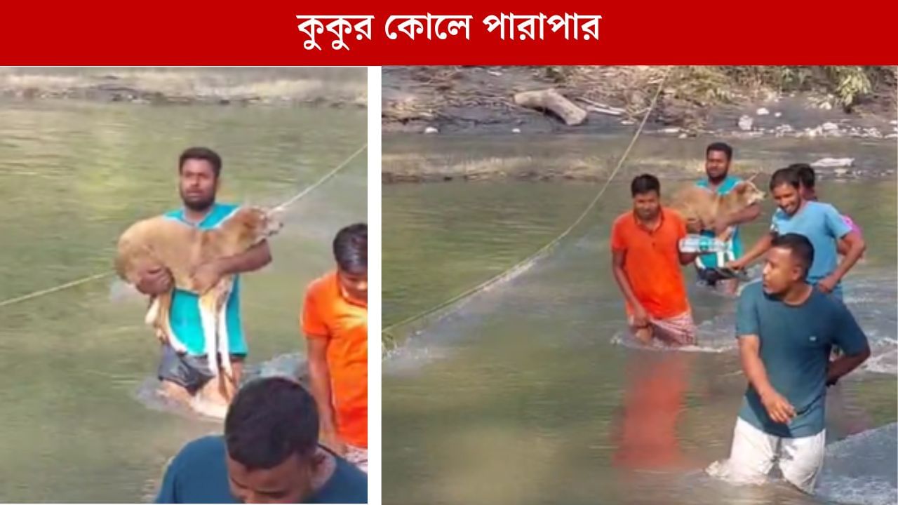 Alipurduar: ২৪ ঘণ্টা ঠায় দাঁড়িয়ে, পেরোতে পারছিল না খরস্রোতা নদী, সারমেয়কে কোলে করে নদী পার করিয়ে নজির প্রীতমের Alipurduar: ২৪ ঘণ্টা ঠায় দাঁড়িয়ে, পেরোতে পারছিল না খরস্রোতা নদী, সারমেয়কে কোলে করে নদী পার করিয়ে নজির প্রীতমের