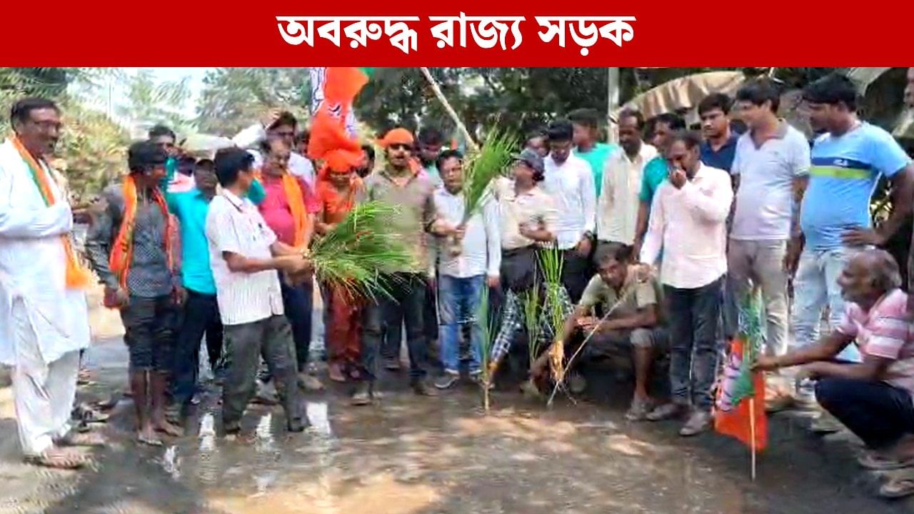 BJP Protests: ৬ মাসেই বেহাল দশা রাজ্য সড়কের, রাস্তার ধানের চারা পুঁতে অভিনব প্রতিবাদে বিজেপি
