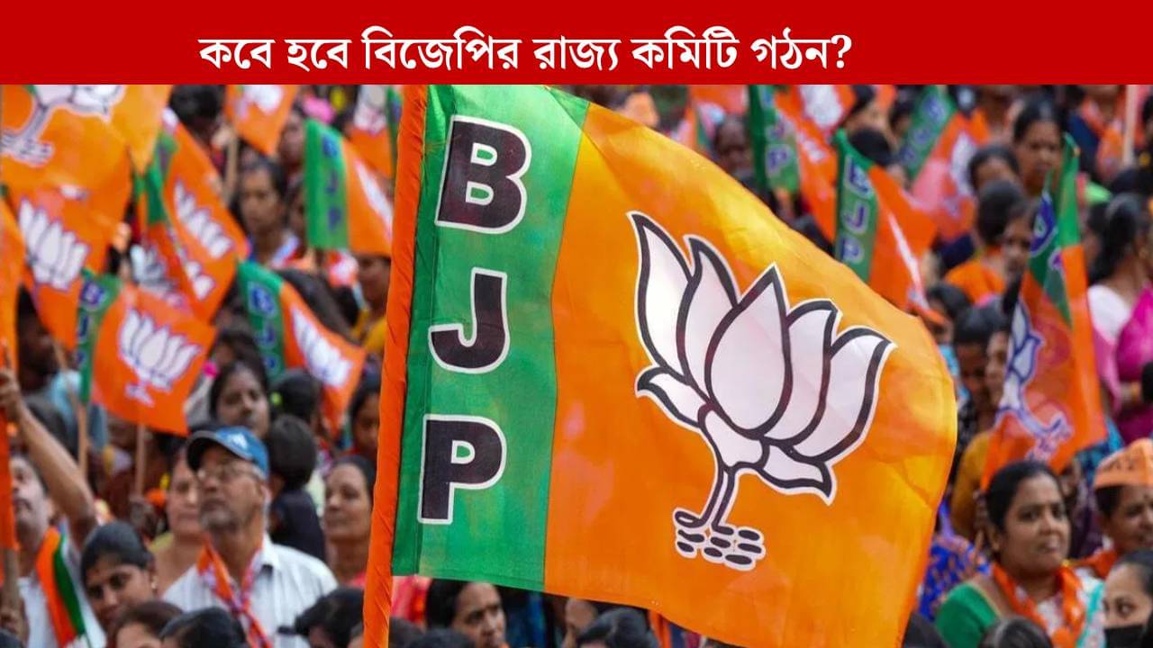 BJP: বিজেপির রাজ্য কমিটি গঠনে জট কোথায়? কেন অনীহা নেতাদের?