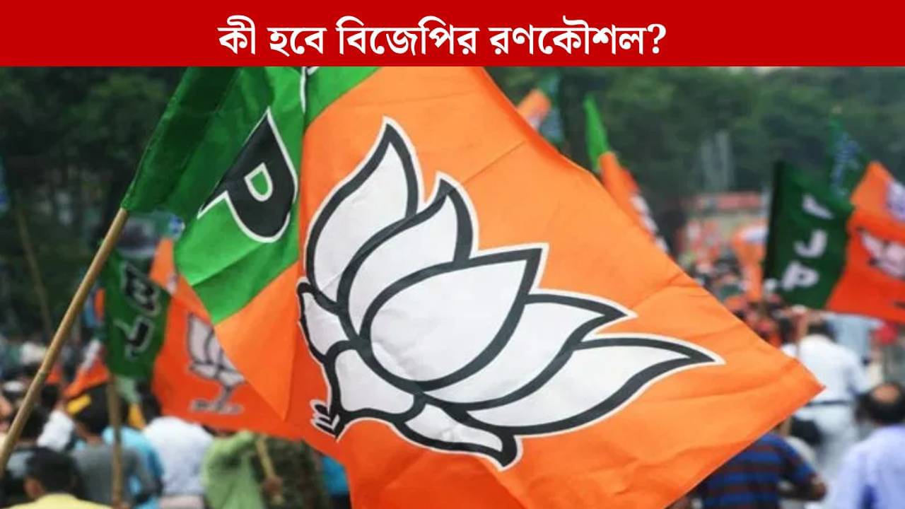 BJP: কলকাতা ও লাগোয়া ২৮টি বিধানসভা আসনে দলের হাল কেমন? ভোট ম্যাপিং করতে বৈঠকে বিজেপি
